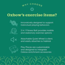 Oxbow Enriched Life Run Around Ball Toy For Small Animals