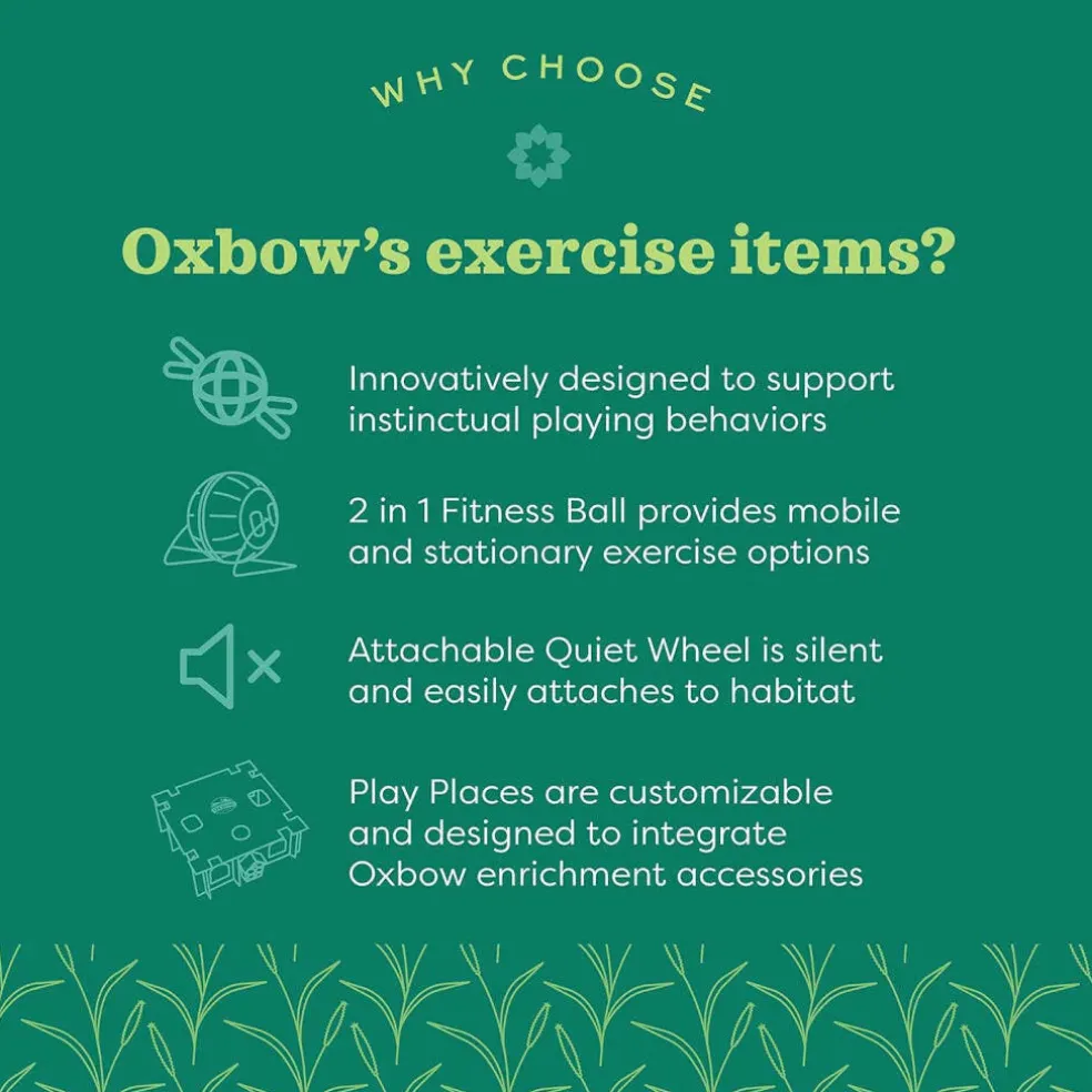 Oxbow Enriched Life Run Around Ball Toy For Small Animals