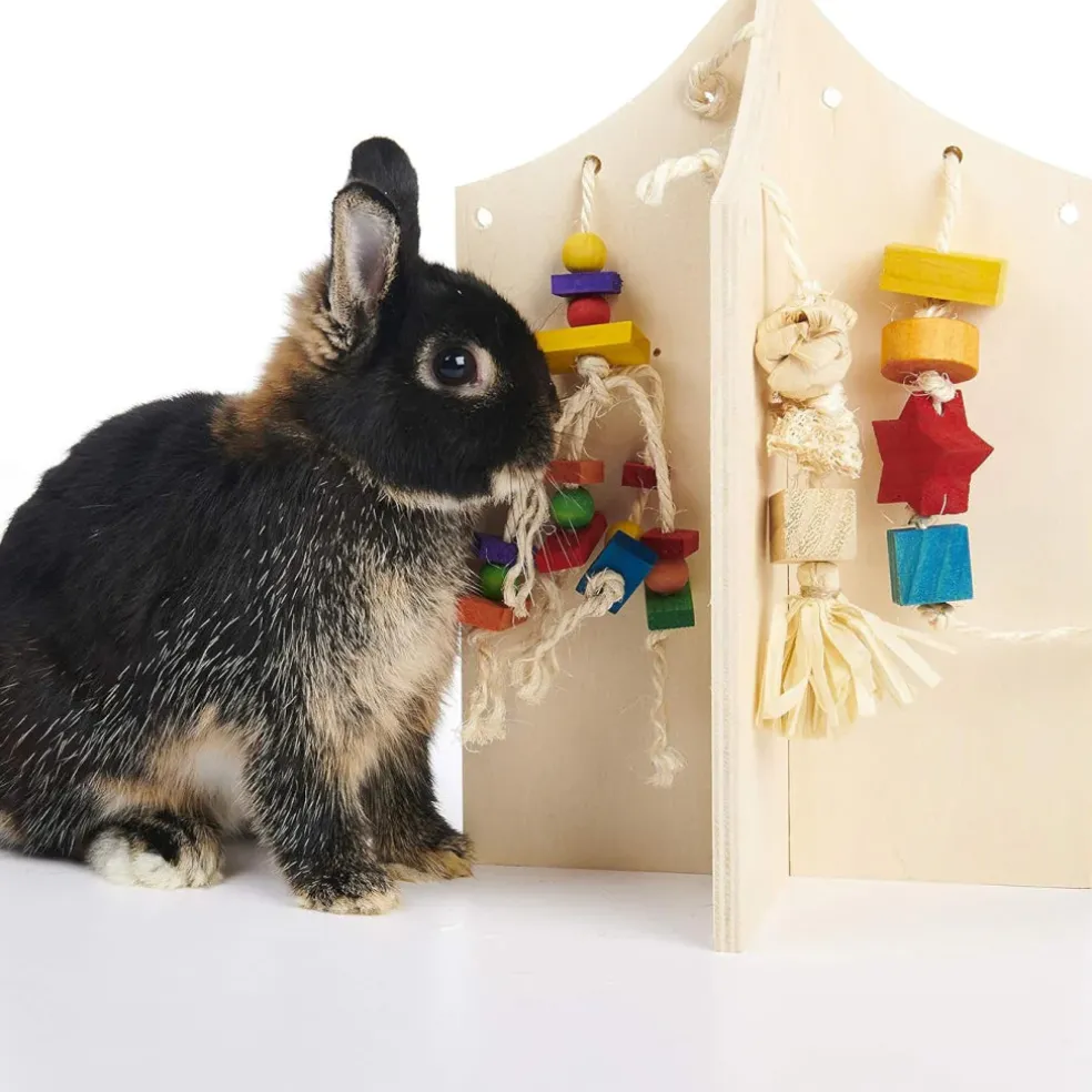 Oxbow Enriched Life Small Animal Play Center