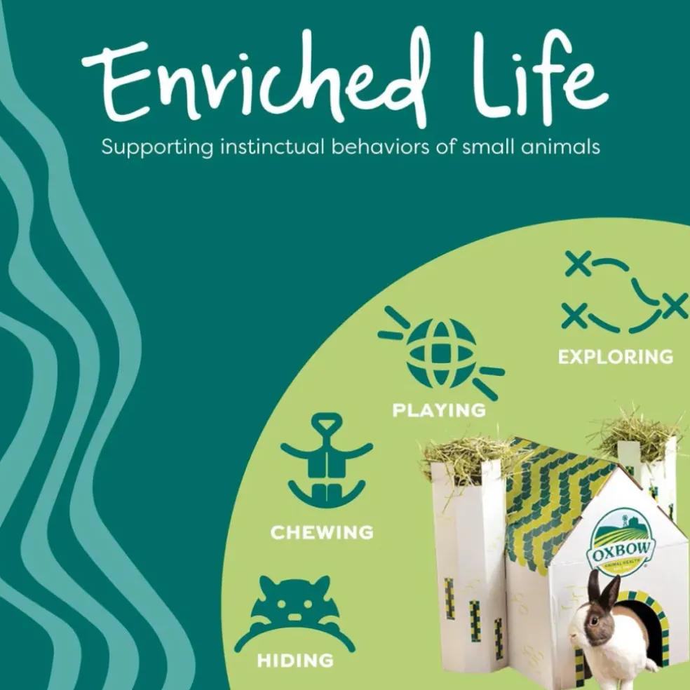 Oxbow Enriched Life Small Animal Play Center