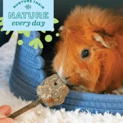Oxbow Enriched Life Stix & Hay Small Animal Chew Toys