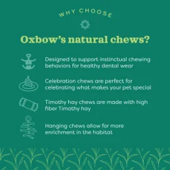 Oxbow Enriched Life Stix & Hay Small Animal Chew Toys