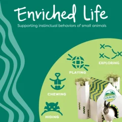Oxbow Enriched Life Stix & Hay Small Animal Chew Toys