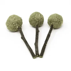 Oxbow Enriched Life Timmy Pops Small Animal Chew Toys