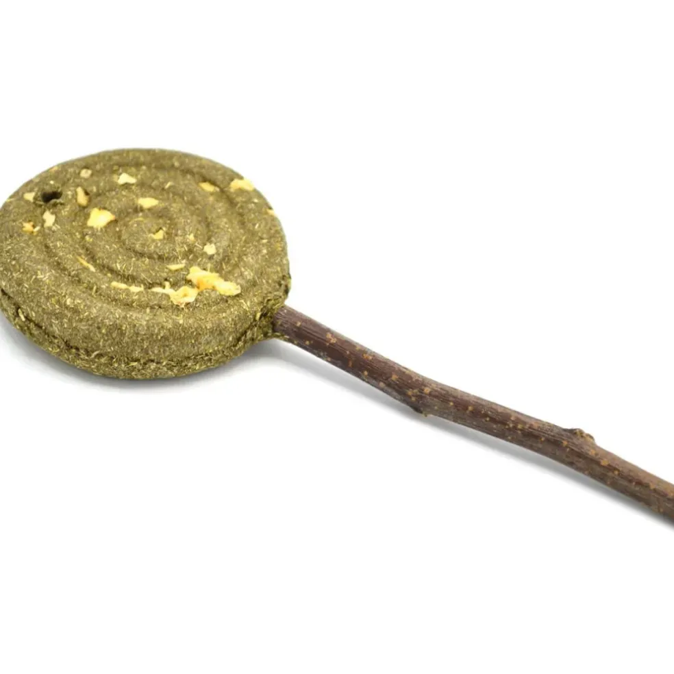 Oxbow Enriched Life Timothy Apple Lollipop Small Animal Chew