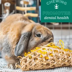Oxbow Enriched Life Timothy Party Pack Small Animal Chews (5 pack)