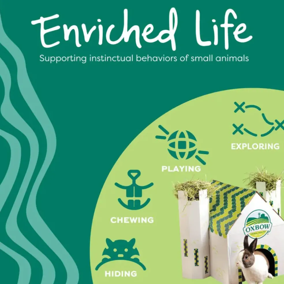 Oxbow Enriched Life Timothy Party Pack Small Animal Chews (5 pack)