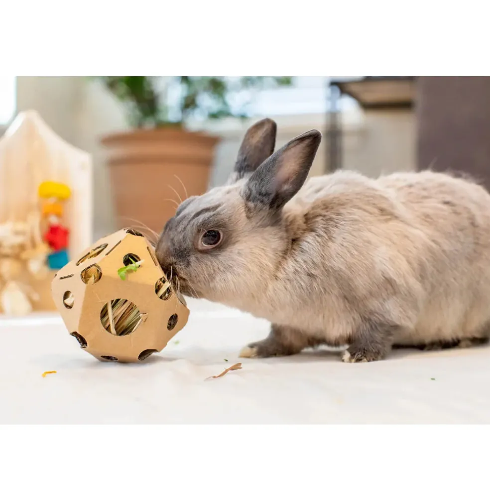 Oxbow Enriched Life Tumble 'n Toss Toy For Small Pets