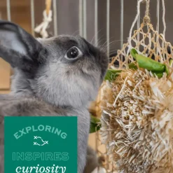 Oxbow Enriched Life Tumble 'n Toss Toy For Small Pets