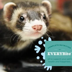 Oxbow Essentials Natural Ferret Pellets Food (4 lb)
