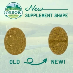 Oxbow Natural Science Skin & Coat Supplement For Small Animals (60 ct)