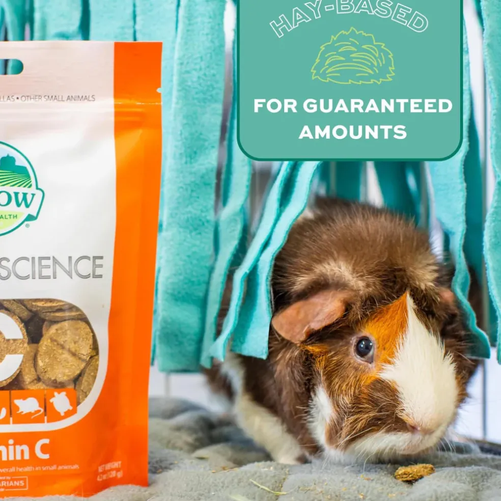 Oxbow Natural Science Vitamin C Supplement For Small Animals (60 ct)