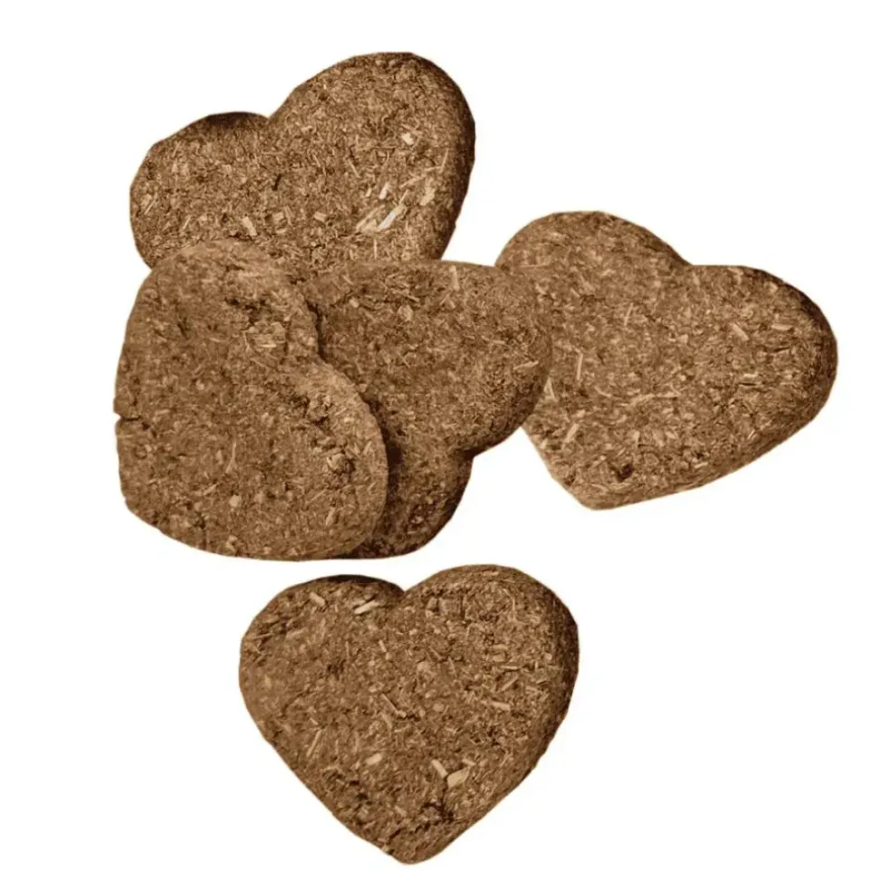 Oxbow Simple Rewards Baked Small Animal Treats with Cranberry (3 oz)