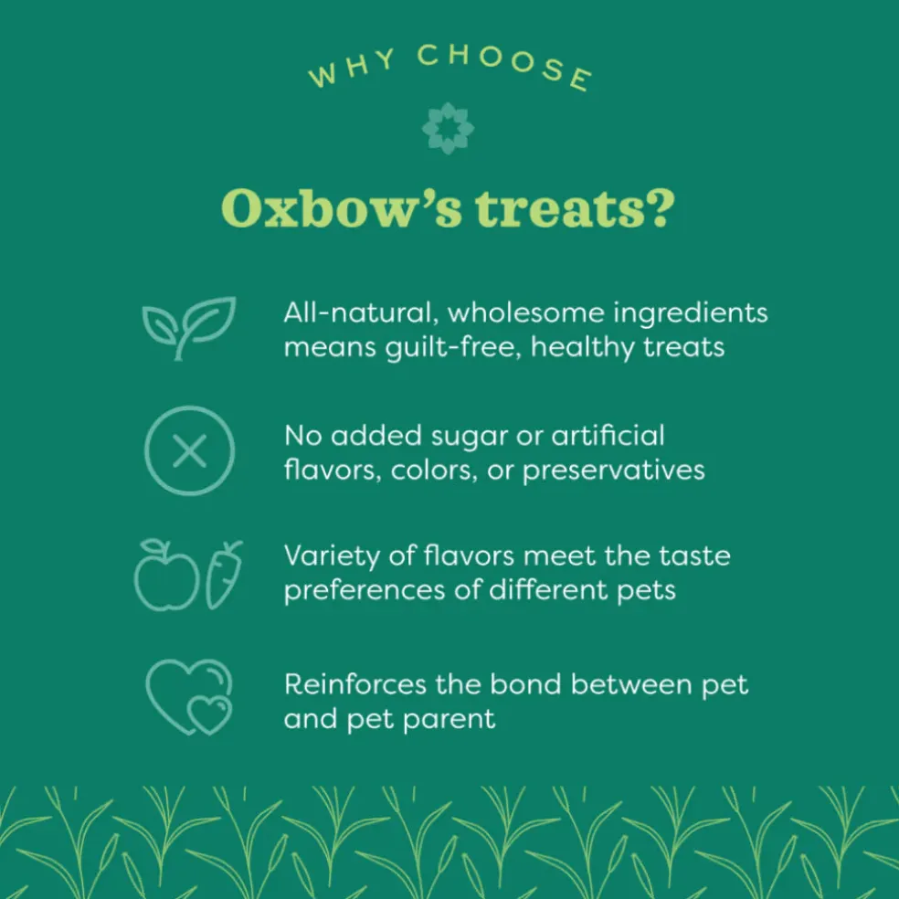 Oxbow Simple Rewards Freeze Dried Banana Small Animal Treats (1 oz)