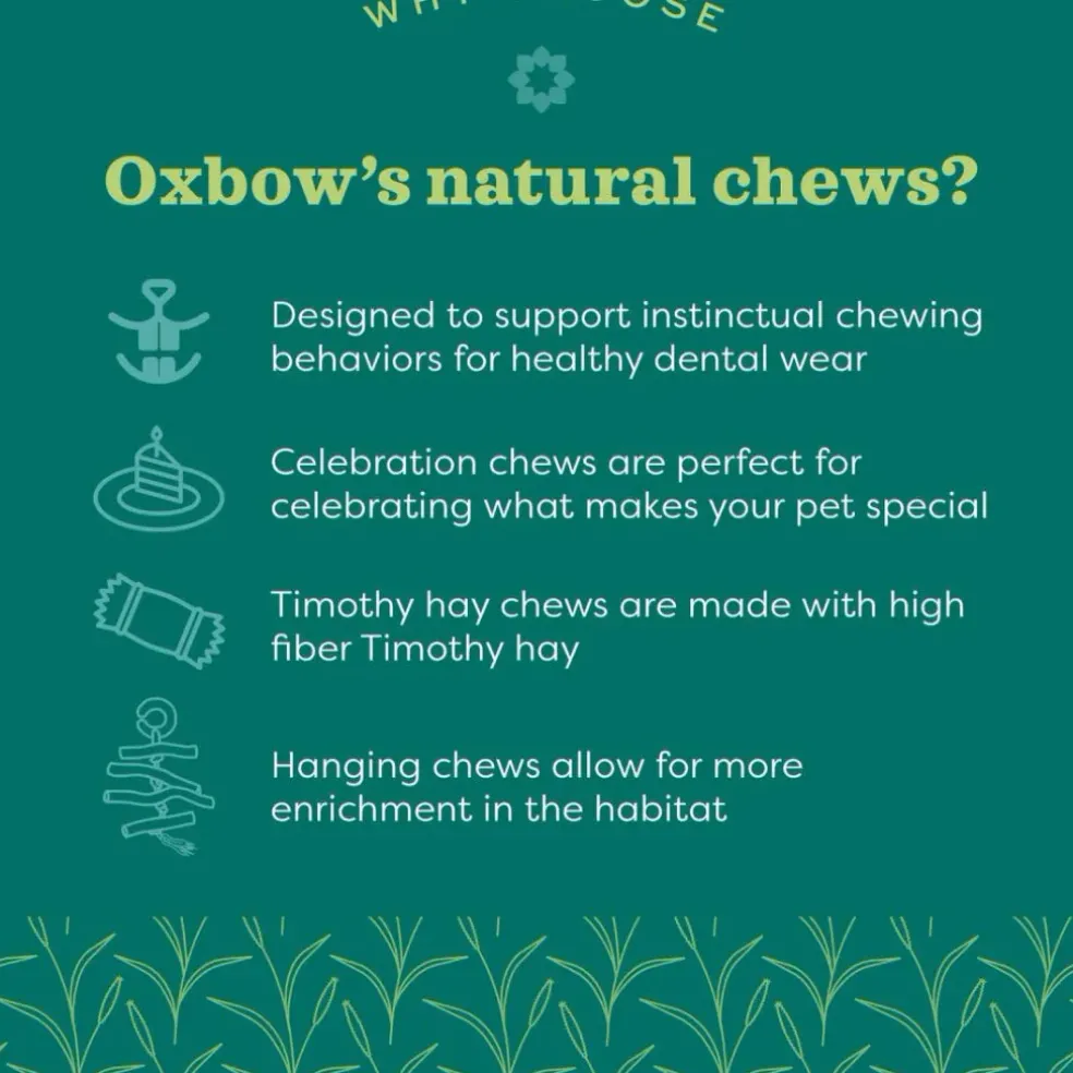 Oxbow Timothy CLUB Hide & Seek Small Animal Mat (small)