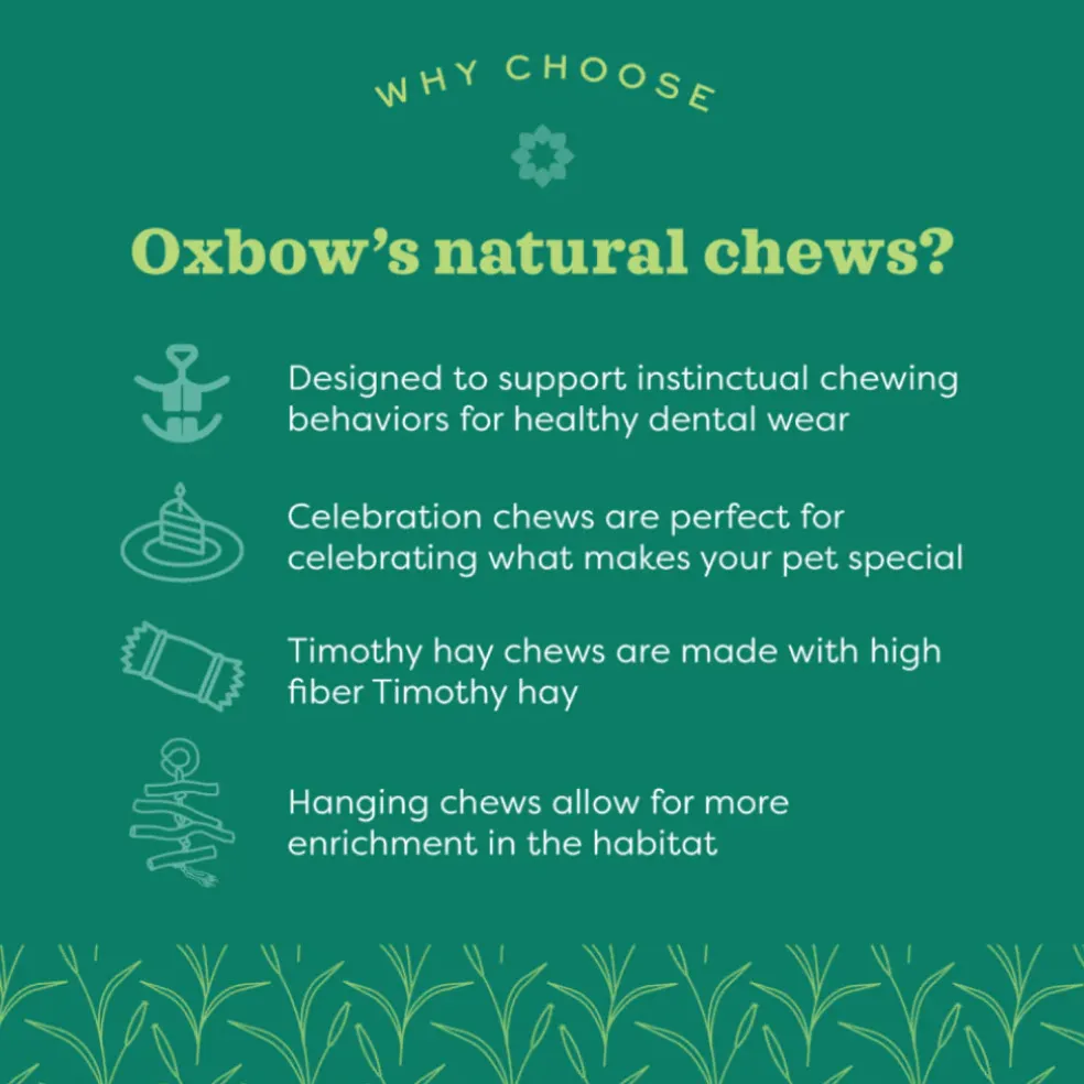Oxbow Timothy CLUB Timothy Twists Small Animal Treats (6 pack)