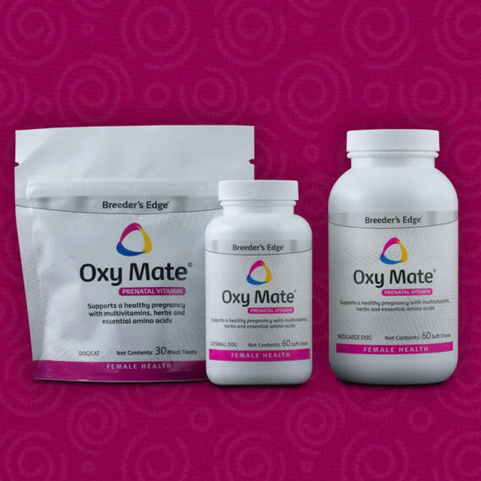 Oxy Mate Soft Chews -Prenatal Vitamins For Small Dogs & Cats