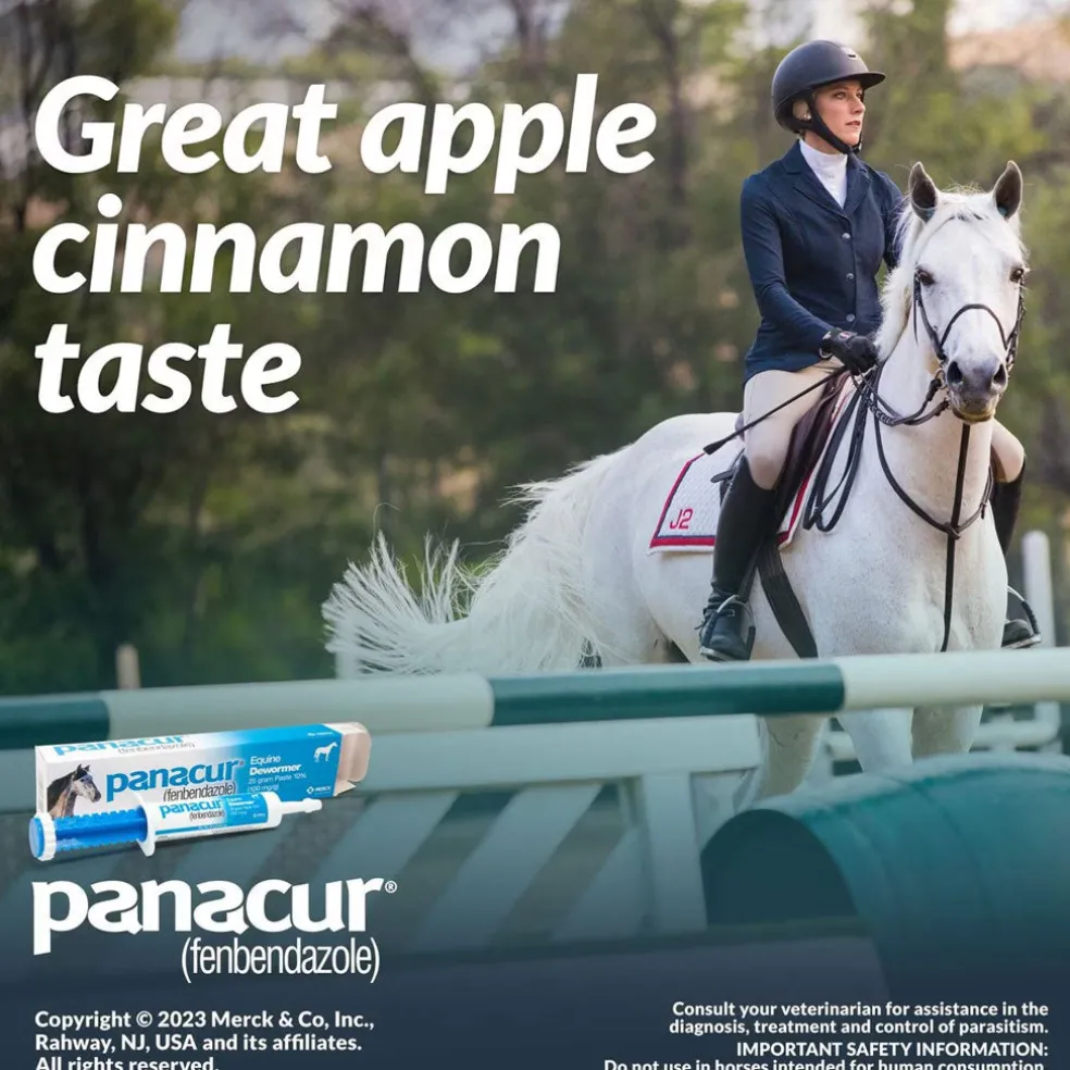 Panacur Equine Paste 10% Horse Dewormer, 25g