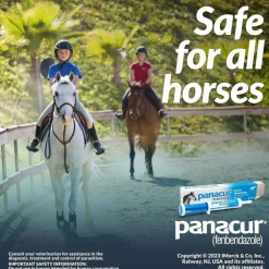 Panacur Equine Paste 10% Horse Dewormer, 25g