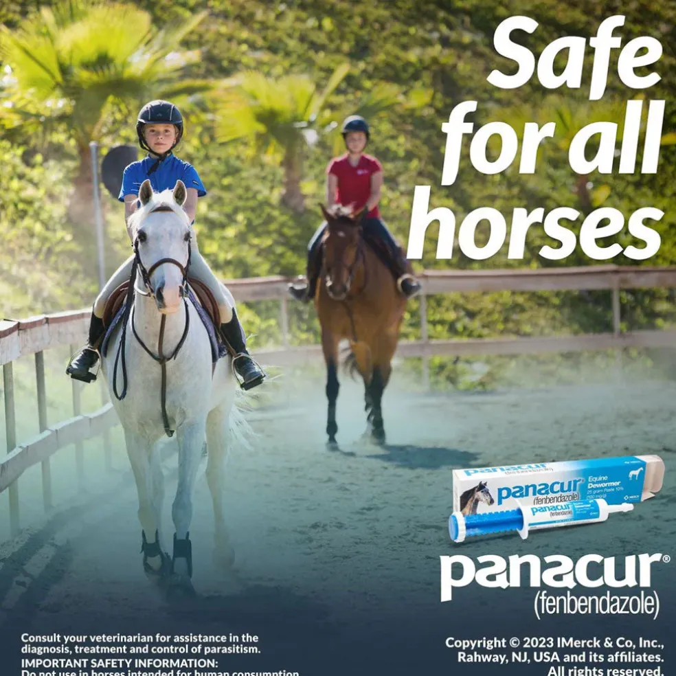 Panacur Equine Paste 10% Horse Dewormer, 25g