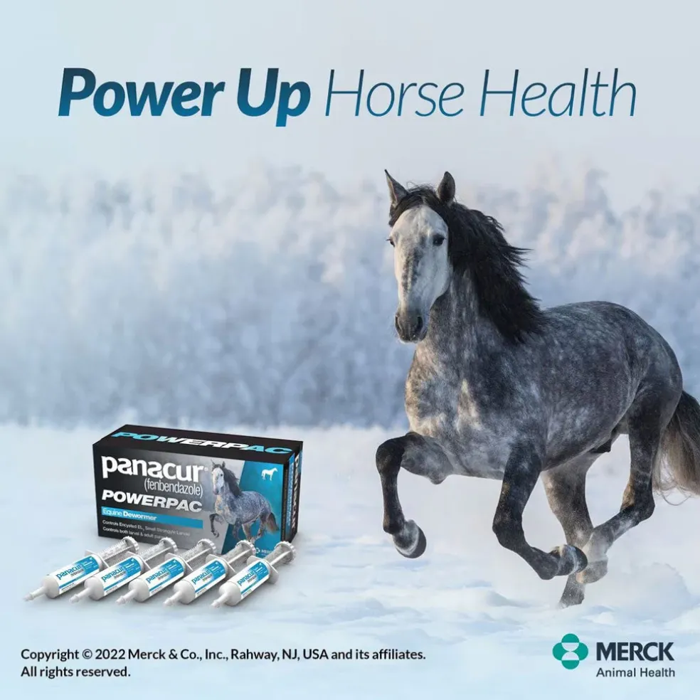 Panacur Powerpac Equine Paste 10% Horse Dewormer, 57g, 5-count