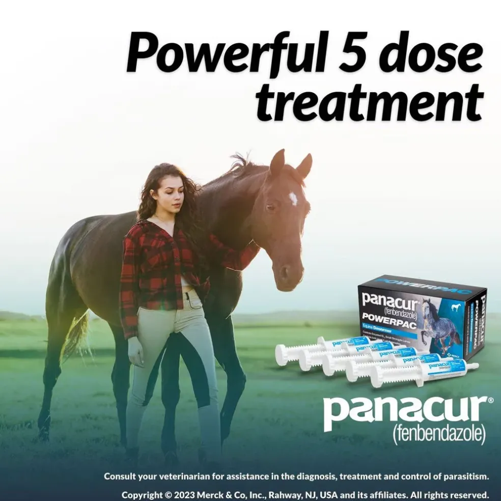 Panacur Powerpac Equine Paste 10% Horse Dewormer, 57g, 5-count