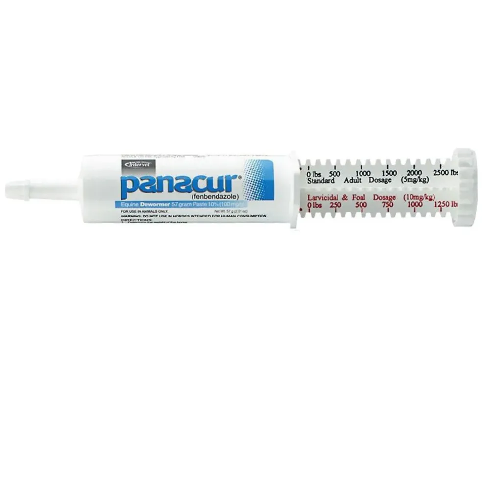 Panacur Powerpac Equine Paste 10% Horse Dewormer, 57g, 5-count