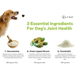 Parnell Glyde Mobility Chews for Dogs