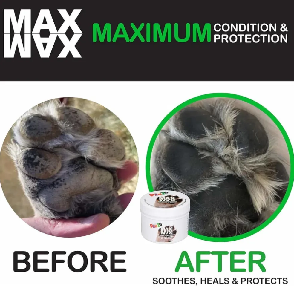 Pawz Max Wax Paw Protector For Dogs