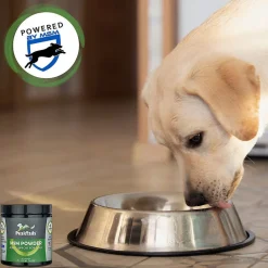 PeakTails Joint Support For Dogs MSM Powder Unflavored, 1-lb