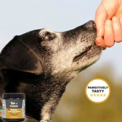 PeakTails Senior MultiVitamin Chewable Tablets for Dogs