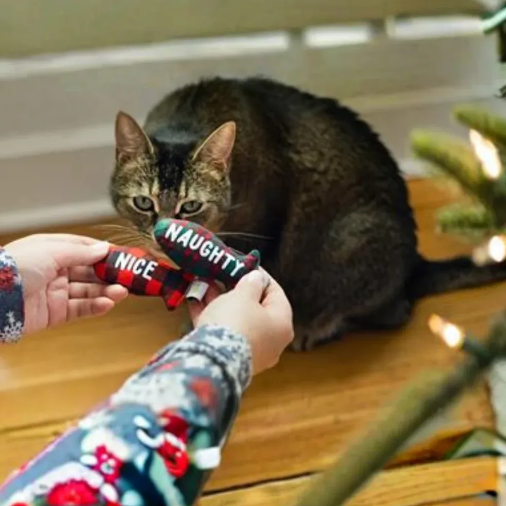 Pearhead Naughty Or Nice Holiday Themed Cat Toy Set with Catnip