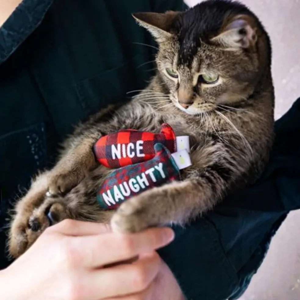 Pearhead Naughty Or Nice Holiday Themed Cat Toy Set with Catnip