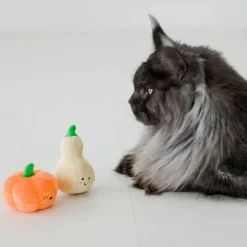 Pearhead Oh My Gourd Toys For Cats (2 pack)