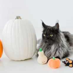 Pearhead Pawloween Toy Set For Cats