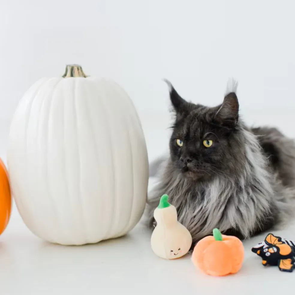 Pearhead Pawloween Toy Set For Cats