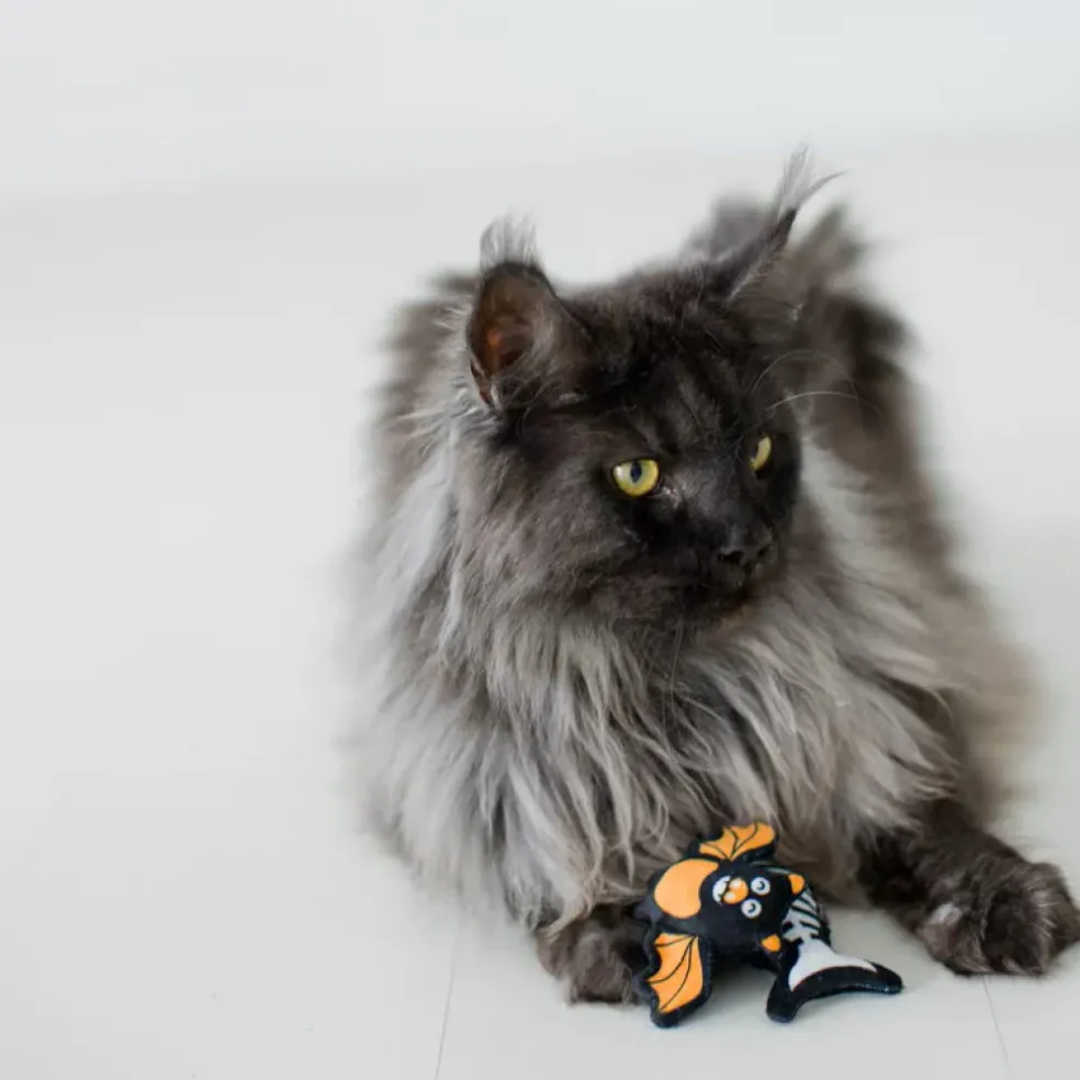 Pearhead Pawloween Toy Set For Cats