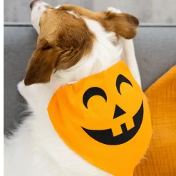 Pearhead Pumpkin Dog Halloween Bandana, Medium/Large