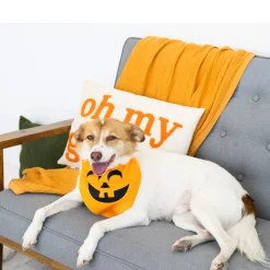 Pearhead Pumpkin Dog Halloween Bandana, Medium/Large