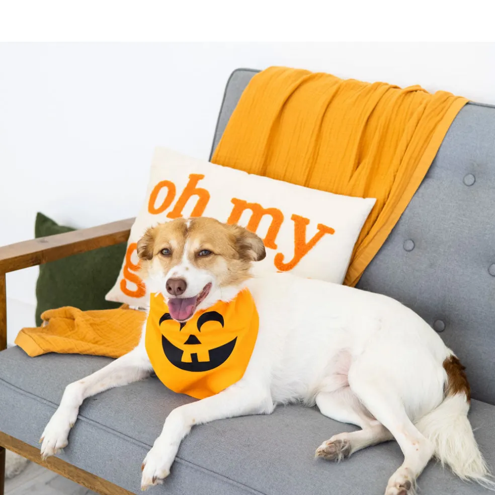 Pearhead Pumpkin Dog Halloween Bandana, Medium/Large