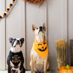 Pearhead Pumpkin Dog Halloween Bandana, Medium/Large