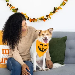 Pearhead Pumpkin Dog Halloween Bandana, Medium/Large