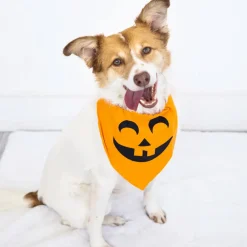 Pearhead Pumpkin Dog Halloween Bandana, Medium/Large