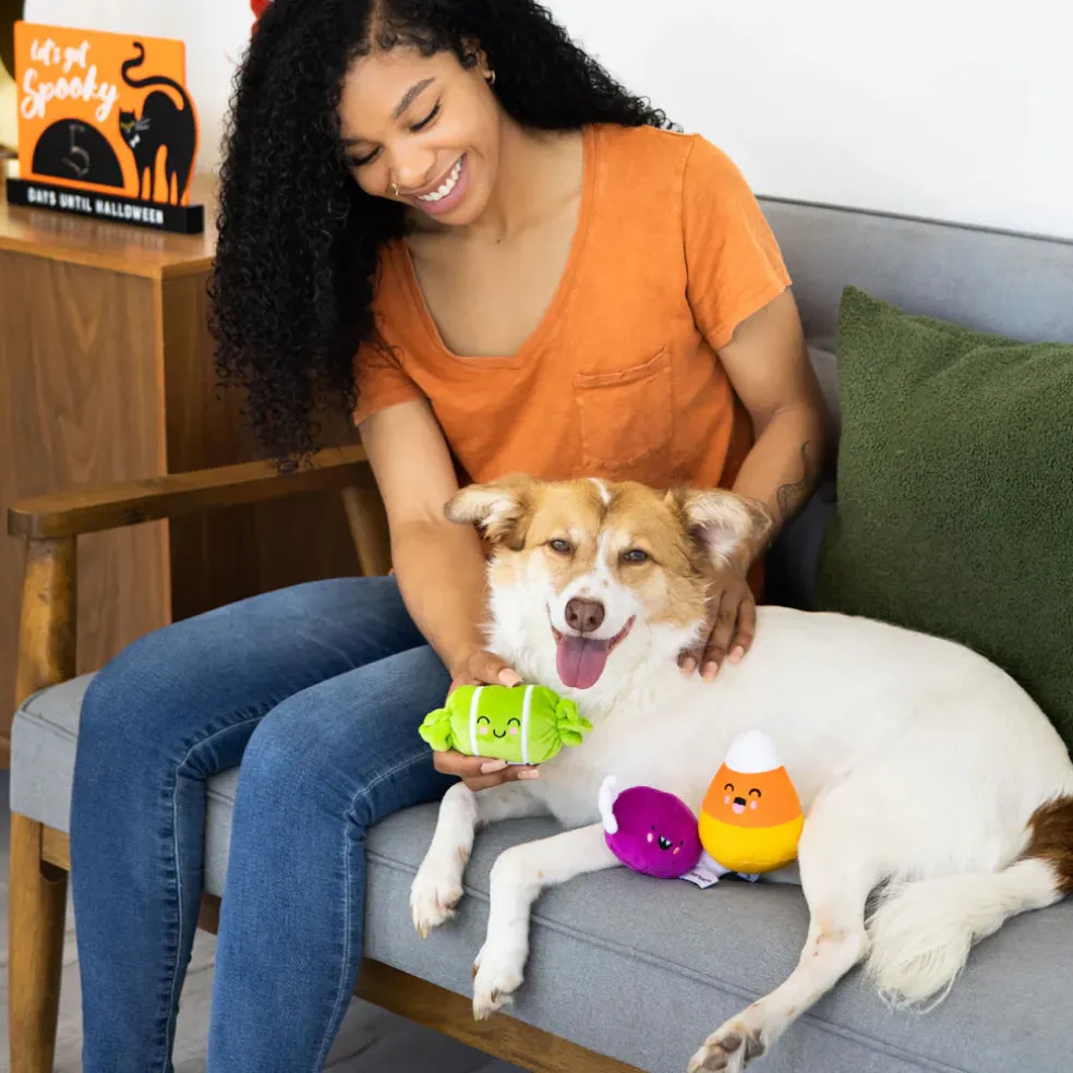 Pearhead Trick Or Treat Toys For Dogs (3 pack)