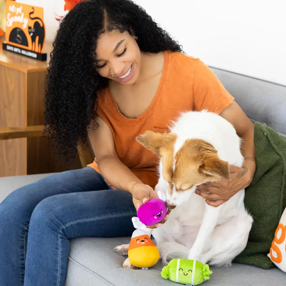 Pearhead Trick Or Treat Toys For Dogs (3 pack)
