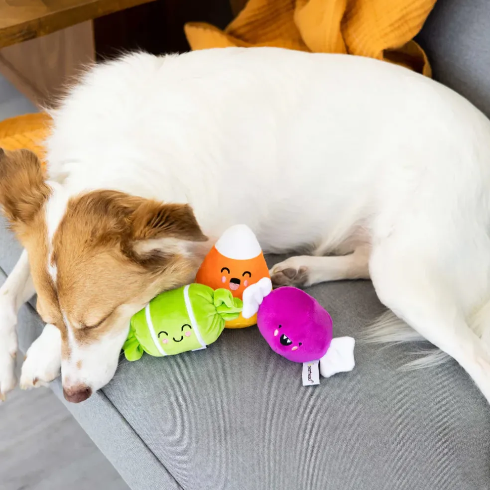 Pearhead Trick Or Treat Toys For Dogs (3 pack)