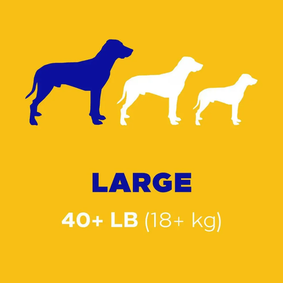 Pedigree Dentastix Large Original Chicken Flavor Dental Dog Treats