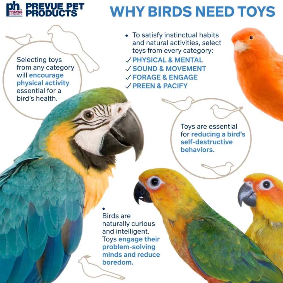 Pervue Pet Playfuls Fancy Dance Bird Toy