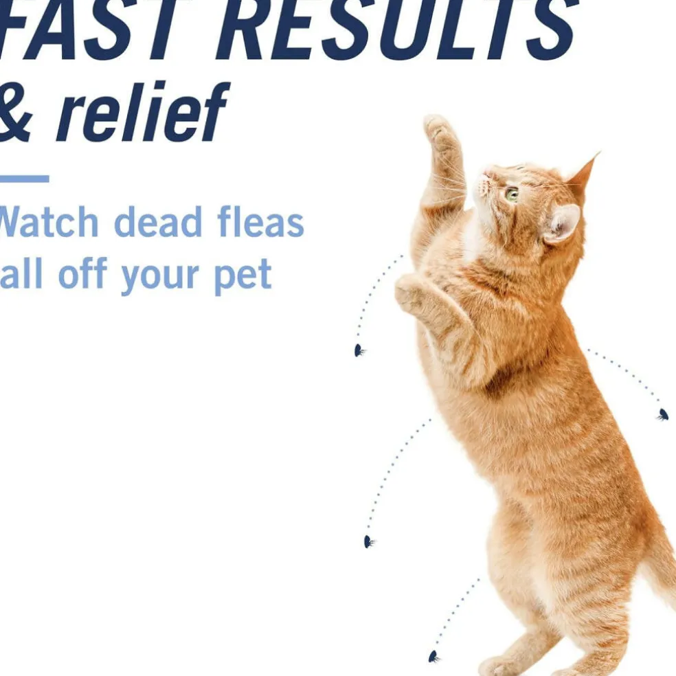 PetArmor CapAction Oral Flea Treatment Tabs for Cats 2-25LB (6 Count)