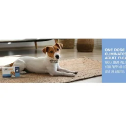 PetArmor CapAction Oral Flea Treatment Tabs For Dogs 2-25 LB (6 Count)